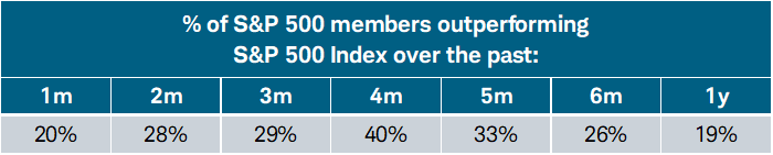 For the full year 2024, only 19% of stocks within the S&P 500 outperformed the index itself.