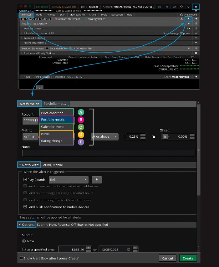 Screenshot highlighting the thinkorswim application Setup tab.