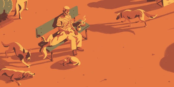 An older man sitting on a bench at an animal shelter. He is petting a dog lying next to him while other dogs run around the yard.