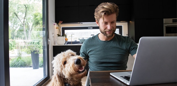 Person working on their laptop while petting a dog that sits nearby.